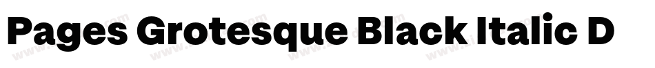 Pages Grotesque Black Italic Demo字体转换